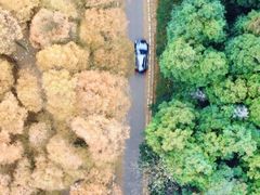 -山王坪喀斯特国家生态公园