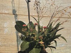 -陶醉馆·艺术雅集私宴