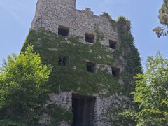 -原山国家森林公园