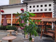 -野渡坡·极致湘菜·庭院餐厅(汉阳店)