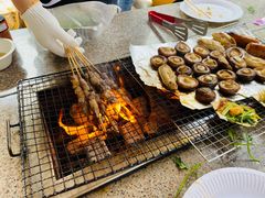 -吴淞炮台湾湿地森林公园烧烤区