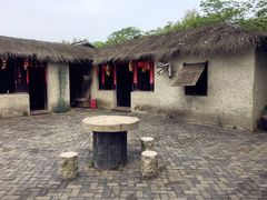 -溱湖国家湿地公园