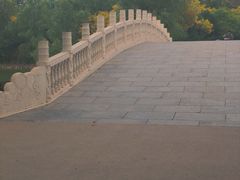 -塘沽森林公园