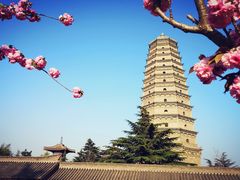 -法门文化景区