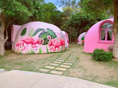 -漳州滨海火山岛自然生态风景区