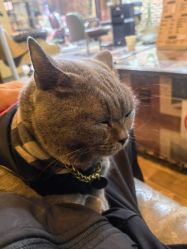 -青木造型HAIR·あおき髪を刈る潮人店