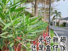 -台山颐和温泉城