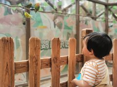 -杭州开元森泊度假乐园