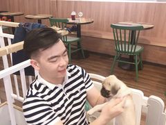 -柯斗斗主题餐厅·狗咖·围炉煮茶·茶饮(国瑞升平里店)