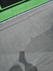 -反弹蹦床公园·亲子乐园·团建·派对(尚品奥莱店)