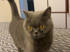 -蜜雪冰城(武进区吾悦店)