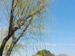 -新江湾城公园