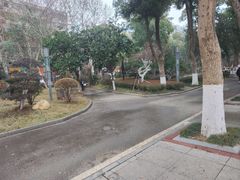 -水果湖儿童公园