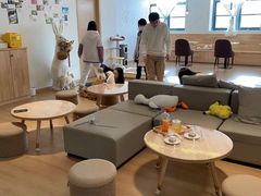 -猫腻·猫咖·撸猫馆(星光大道店)