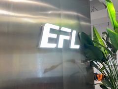 -EFL巴西柔术·综合格斗·泰拳·少儿体能训练(虹桥德必馆)