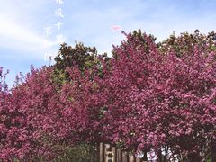 -荆川公园