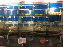 -胖大嫂渔家排档·全海景餐厅(渔村店)