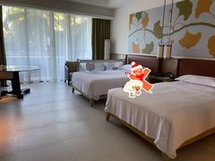 -三亚海棠湾万丽度假酒店