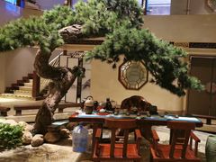 -顺峰(农展馆店)