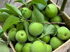 -杭州半山国家森林公园