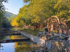 -广州白江湖森林公园