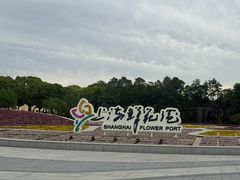 -上海鲜花港