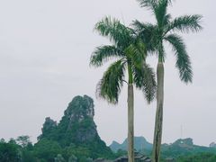 -南宁花花大世界景区