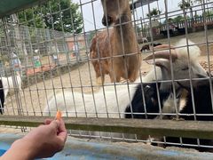 -武汉紫薇都市田园