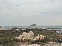 -养马岛旅游度假区