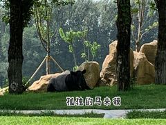 -北京野生动物园