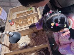 -酷嗒动物文化乐园(cutezoo西溪乐天城店)