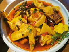 -雀舞云南菜(乐客城店)