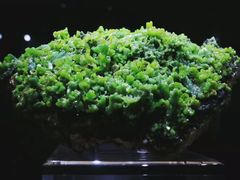 -中国地质大学逸夫博物馆