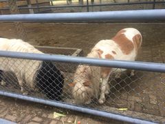 -长白岛森林公园