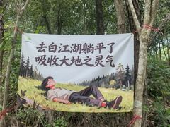 -广州白江湖森林公园