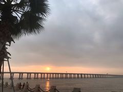 -宝安西湾红树林湿地公园