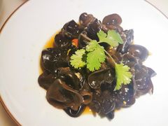 凉拌木耳-绿茶餐厅(西单老佛爷店)