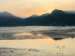 -北岐滩涂