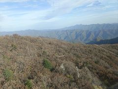 -牛背梁国家森林公园