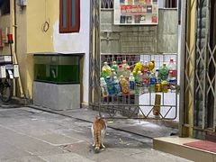 -甜甜屋(解放中路店)