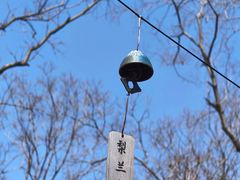 -江苏三台山国家森林公园