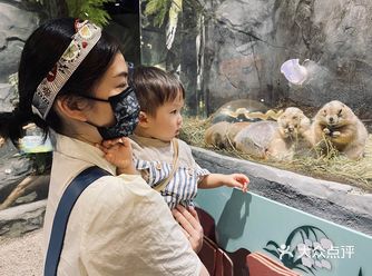 打卡丨身边的动物园·内有乾坤的MR.ZOO