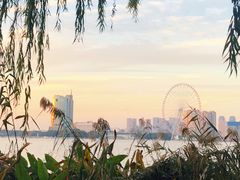 -长广溪湿地公园