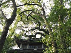 -蒋氏故居