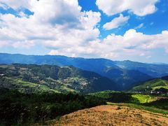 -紫鹊界梯田景区