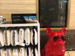 -上海月星家居(澳门路店)