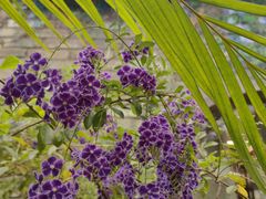 -鹅滋道(甘坑古镇店)