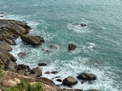 -广东惠东海龟国家级自然保护区