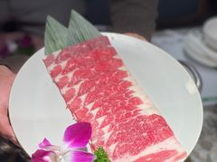 -禄婶鸡煲·打边炉