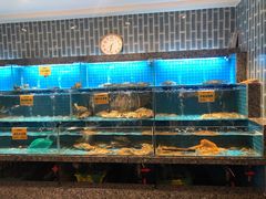 海鲜-海味世家·家常菜馆(明州里店)
